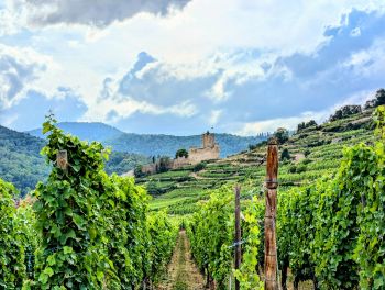 Les Ecrins, chambres d'hôtes de charme, spa et bien-être à Orbey en Alsace