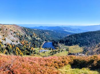 Les Ecrins, chambres d'hôtes de charme, spa et bien-être à Orbey en Alsace